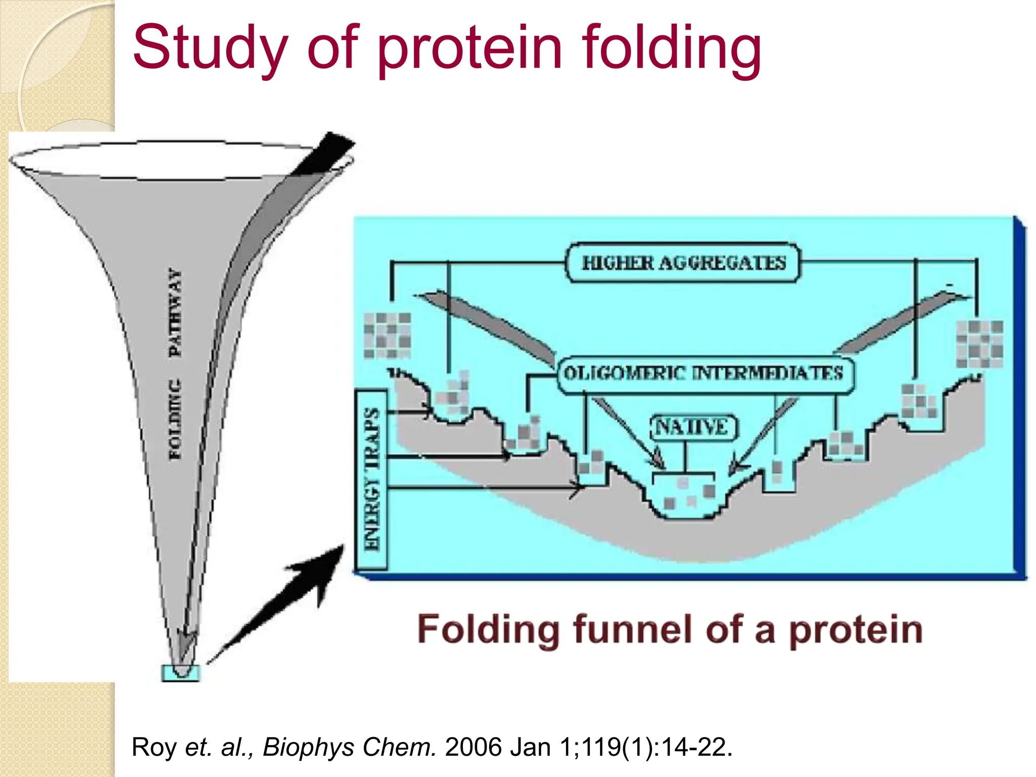 Study of protein folding
Roy et. al., Biophys Chem. 2006 Jan 1;119(1):14-22.
 