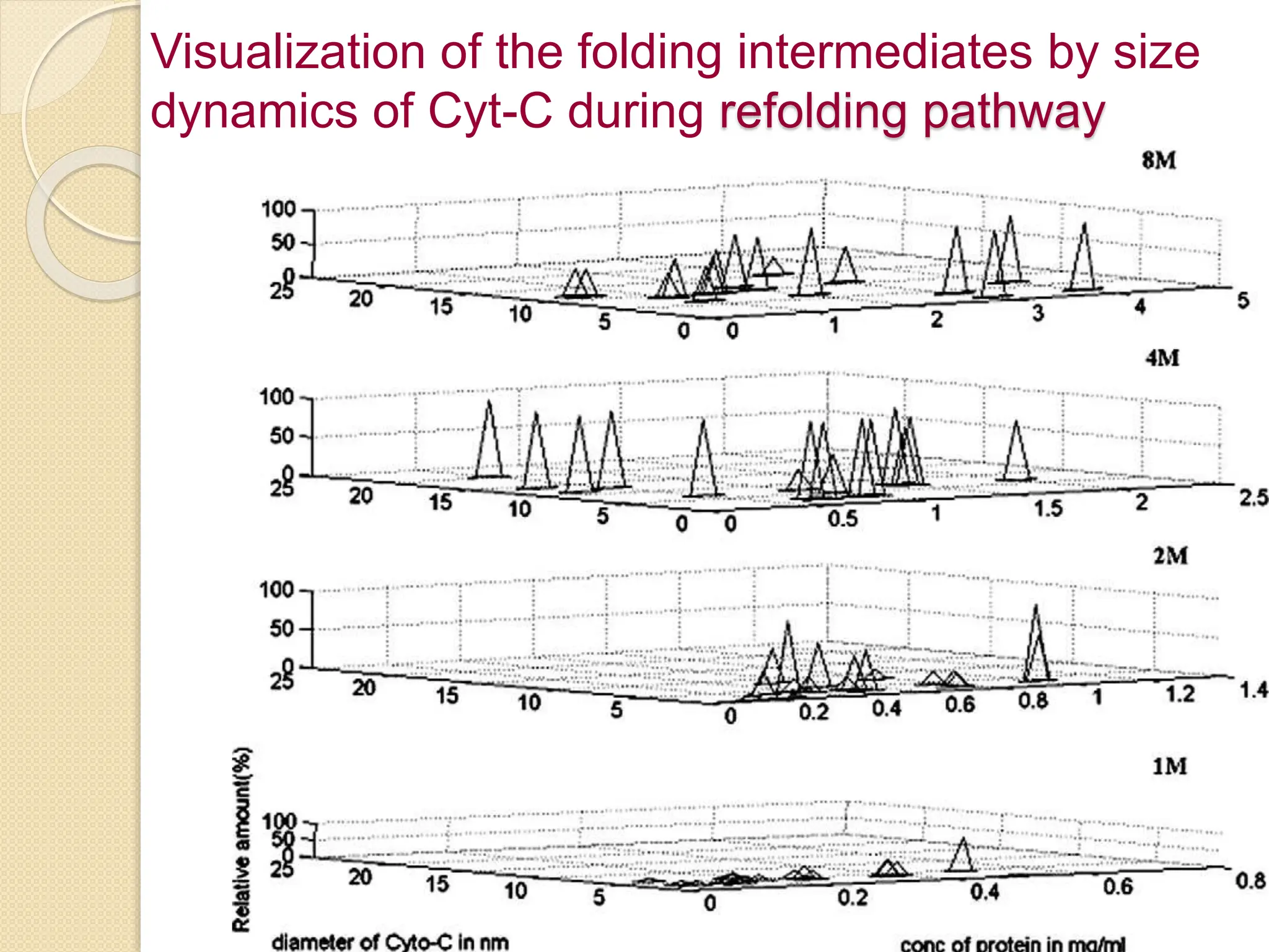 Visualization of the folding intermediates by size
dynamics of Cyt-C during refolding pathway
 