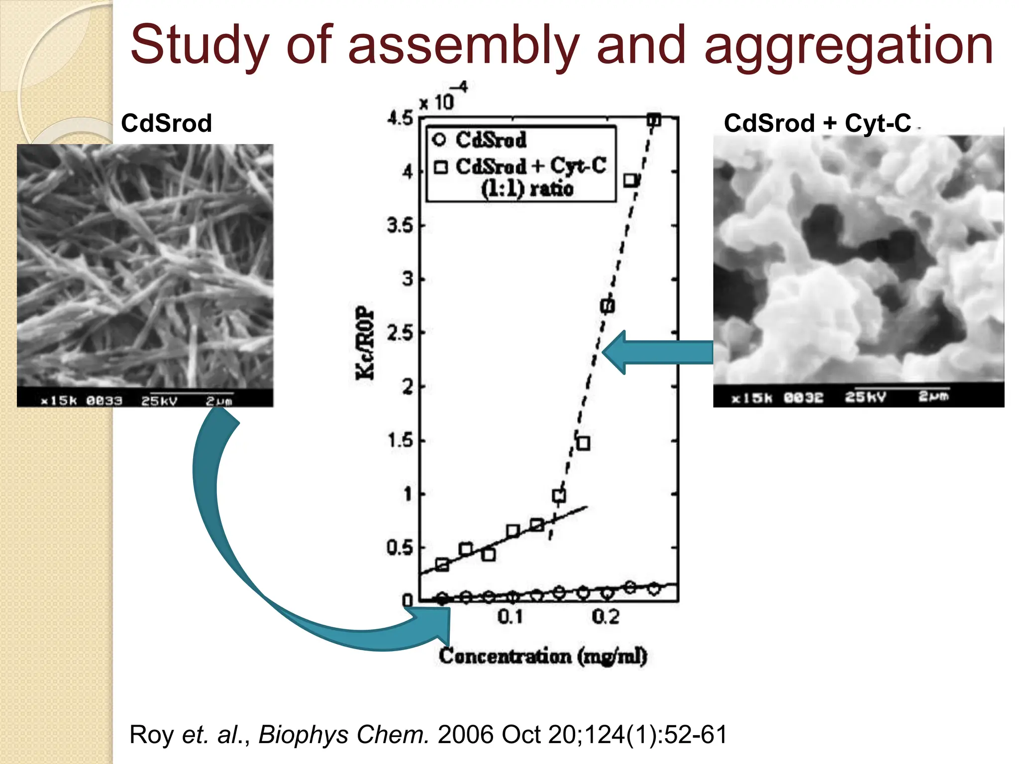 Study of assembly and aggregation
CdSrod CdSrod + Cyt-C
Roy et. al., Biophys Chem. 2006 Oct 20;124(1):52-61
 