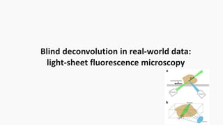 Blind deconvolution in real-world data:
light-sheet fluorescence microscopy
 