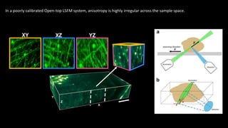 X
Y
Z
XY XZ YZ
In a poorly calibrated Open-top LSFM system, anisotropy is highly irregular across the sample space.
 