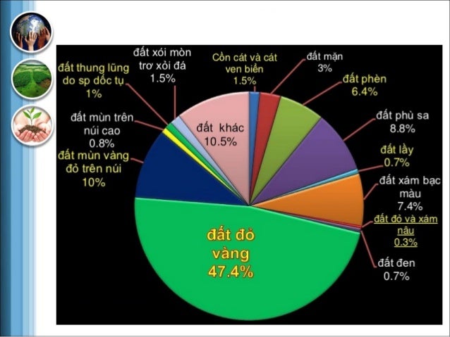 Powerpoint Môi trường