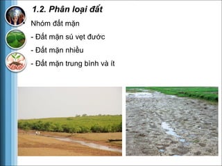 Tài nguyên đất Việt Nam