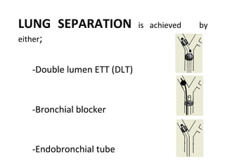 LUNG SEPARATION is achieved by
either;
-Double lumen ETT (DLT)
-Bronchial blocker
-Endobronchial tube
 