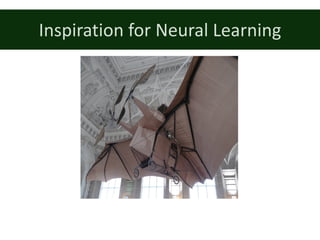 Inspiration	for	Neural	Learning
 