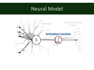 Neural	Model
 