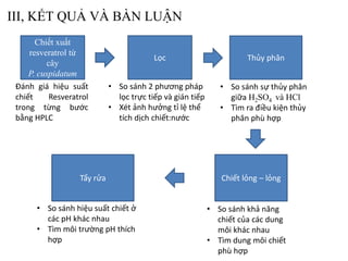 Chiết xuất
resveratrol từ
cây
P. cuspidatum
Đánh giá hiệu suất
chiết Resveratrol
trong từng bước
bằng HPLC
Lọc
• So sánh 2 phương pháp
lọc trực tiếp và gián tiếp
• Xét ảnh hưởng tỉ lệ thể
tích dịch chiết:nước
Thủy phân
• So sánh sự thủy phân
giữa H2SO4 và HCl
• Tìm ra điều kiện thủy
phân phù hợp
Chiết lỏng – lỏng
• So sánh khả năng
chiết của các dung
môi khác nhau
• Tìm dung môi chiết
phù hợp
Tẩy rửa
• So sánh hiệu suất chiết ở
các pH khác nhau
• Tìm môi trường pH thích
hợp
III, KẾT QUẢ VÀ BÀN LUẬN
 