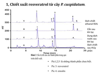 1, Chiết xuất resveratrol từ cây P. cuspidatum.
• Pic1,2,5: là những thành phần chưa biết.
• Pic 3: resveratrol
• Pic 4: emodin
Dịch chiết
ethanol 95%
Cắn sau
khi lọc
Dung dịch
nước sau
khi lọc
Dịch chiết
sau thủy
phân
 