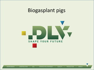 Biogasplant pigs
 