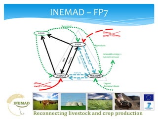 INEMAD – FP7
 