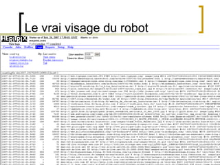 Le vrai visage du robot 