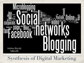 Synthesis of Digital Marketing Adrien Reydy MBA2B 