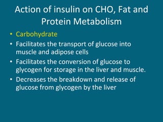 Action of insulin on CHO, Fat and Protein Metabolism Carbohydrate Facilitates the transport of glucose into muscle and adipose cells Facilitates the conversion of glucose to glycogen for storage in the liver and muscle. Decreases the breakdown and release of glucose from glycogen by the liver 