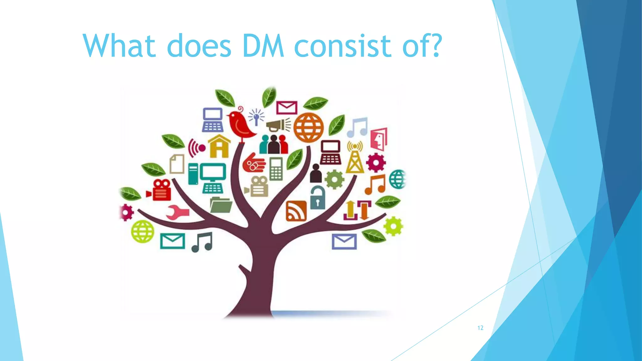 What does DM consist of?
12
 