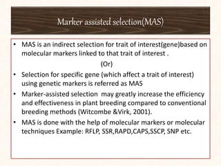 Marker assisted selection(MAS)
• MAS is an indirect selection for trait of interest(gene)based on
molecular markers linked to that trait of interest .
(Or)
• Selection for specific gene (which affect a trait of interest)
using genetic markers is referred as MAS
• Marker-assisted selection may greatly increase the efficiency
and effectiveness in plant breeding compared to conventional
breeding methods (Witcombe &Virk, 2001).
• MAS is done with the help of molecular markers or molecular
techniques Example: RFLP, SSR,RAPD,CAPS,SSCP, SNP etc.
 
