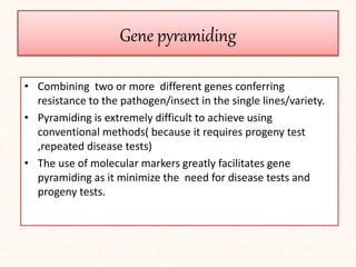 Gene pyramiding
• Combining two or more different genes conferring
resistance to the pathogen/insect in the single lines/variety.
• Pyramiding is extremely difficult to achieve using
conventional methods( because it requires progeny test
,repeated disease tests)
• The use of molecular markers greatly facilitates gene
pyramiding as it minimize the need for disease tests and
progeny tests.
 