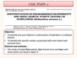 CASE STUDY -2
Objective:
• To identify the pure hybrid or confirmation of hybridity in sunflower
hybrids
• To identify the specific marker associated with each hybrid and
parental lines.
Material and methods :
• The study included five hybrids, four female lines and two male
lines( which are listed in table 1)
 