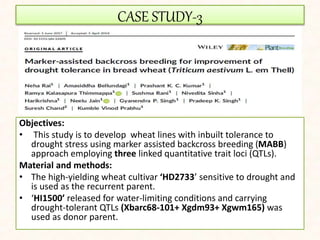 CASE STUDY-3
Objectives:
• This study is to develop wheat lines with inbuilt tolerance to
drought stress using marker assisted backcross breeding (MABB)
approach employing three linked quantitative trait loci (QTLs).
Material and methods:
• The high-yielding wheat cultivar ‘HD2733’ sensitive to drought and
is used as the recurrent parent.
• ‘HI1500’ released for water-limiting conditions and carrying
drought-tolerant QTLs (Xbarc68-101+ Xgdm93+ Xgwm165) was
used as donor parent.
 
