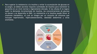  Para superar la resistencia a la insulina y evitar la acumulación de glucosa en
la sangre, se deben secretar mayores cantidades de insulina para mantener la
glucemia en un nivel normal o ligeramente elevado. Si las células β no logran
suplir la demanda incrementada de insulina, las concentraciones de glucosa
se elevan y se desarrolla la DM2. La resistencia a la insulina puede llevar al
síndrome metabólico, el cual se integra por un conjunto de síntomas que
incluyen hipertensión, hipercolesterolemia, obesidad abdominal y otras
anomalías.
 