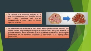  Se trata de una respuesta anómala en la
cual los anticuerpos son dirigidos contra
los tejidos normales del cuerpo,
respondiendo a ellos como si fueran
agentes externos.
 La destrucción de las células β lleva a una menor producción de insulina, una
mayor síntesis de glucosa por el hígado e hiperglucemia en ayuno. Además, la
glucosa obtenida de los alimentos que no puede ser almacenada en el hígado
permanece en el torrente sanguíneo y contribuye a la hiperglucemia
posprandial.
 