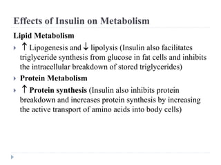 Effects of Insulin on Metabolism
Lipid Metabolism
  Lipogenesis and  lipolysis (Insulin also facilitates
triglyceride synthesis from glucose in fat cells and inhibits
the intracellular breakdown of stored triglycerides)
 Protein Metabolism
  Protein synthesis (Insulin also inhibits protein
breakdown and increases protein synthesis by increasing
the active transport of amino acids into body cells)
 