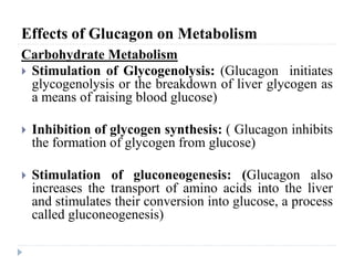 Effects of Glucagon on Metabolism
Carbohydrate Metabolism
 Stimulation of Glycogenolysis: (Glucagon initiates
glycogenolysis or the breakdown of liver glycogen as
a means of raising blood glucose)
 Inhibition of glycogen synthesis: ( Glucagon inhibits
the formation of glycogen from glucose)
 Stimulation of gluconeogenesis: (Glucagon also
increases the transport of amino acids into the liver
and stimulates their conversion into glucose, a process
called gluconeogenesis)
 