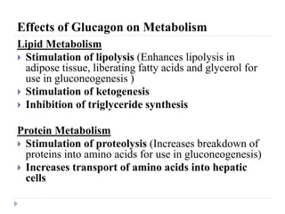 Effects of Glucagon on Metabolism
Lipid Metabolism
 Stimulation of lipolysis (Enhances lipolysis in
adipose tissue, liberating fatty acids and glycerol for
use in gluconeogenesis )
 Stimulation of ketogenesis
 Inhibition of triglyceride synthesis
Protein Metabolism
 Stimulation of proteolysis (Increases breakdown of
proteins into amino acids for use in gluconeogenesis)
 Increases transport of amino acids into hepatic
cells
 