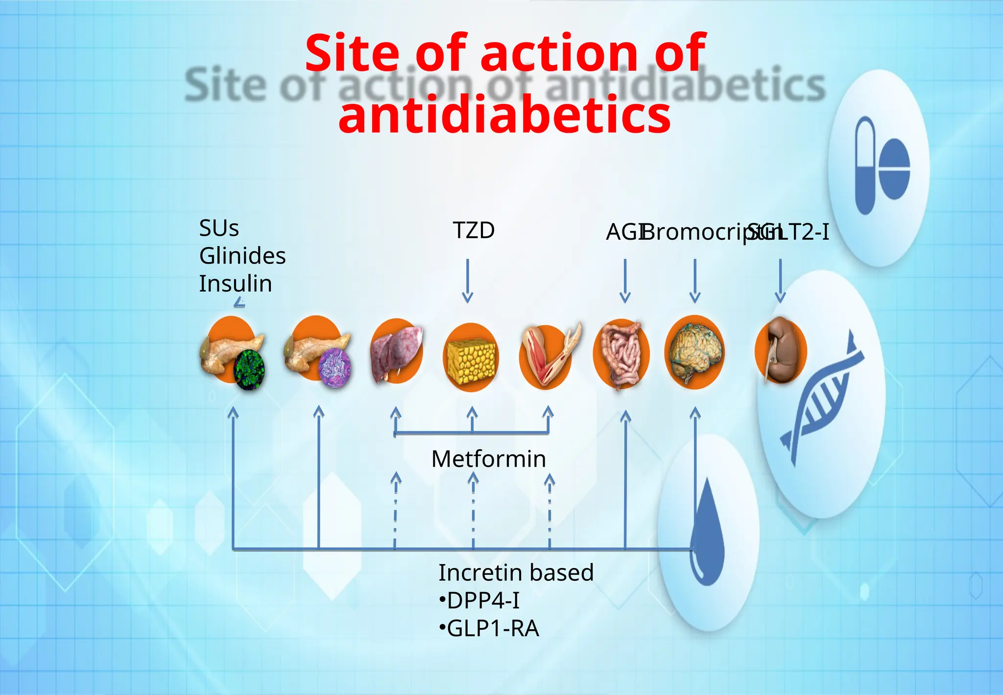 Diabetes mellitus merupakan suatu kelompok penyakit metabolik dengan ...