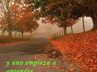 y uno empieza a aprender.   