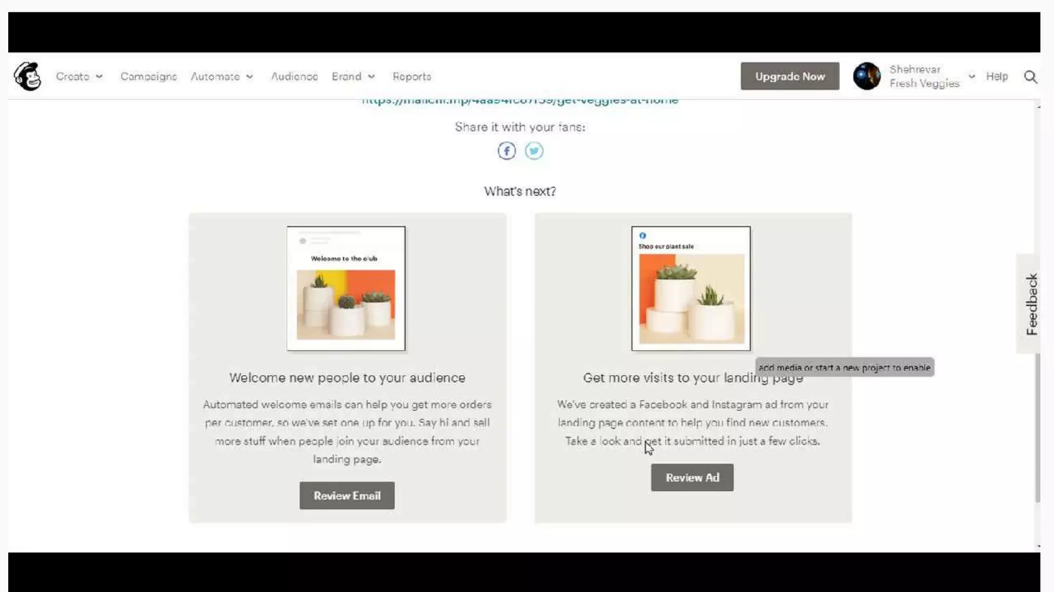 Email Promotions - Automation
 