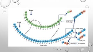 DM - DIAGNOSIS &MANAGEMENT