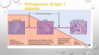 Pathogenesis of type 1
diabetes
 