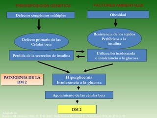 Defectos congénitos múltiples Obesidad Defecto primario de las Células beta Resistencia de los tejidos Periféricos a la  insulina Pérdida de la secreción de insulina Utilización inadecuada  o intolerancia a la glucosa Hiperglicemia Intolerancia a la glucosa Agotamiento de las células beta DM 2 PATOGENIA DE LA DM 2 PRESISPOSICION GENETICA FACTORES AMBIENTALES Adaptado de: Reaven GM.  Diabetes  1998; 37: 1595–1607. Beck-Nielsen H, Groop LC.  J Clin Invest  1994; 94: 1714–1721 