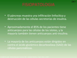 FISIOPATOLOGIA El páncreas muestra una infiltración linfocítica y destrucción de las células secretorias de insulina.  Aproximadamente el 85% de los pacientes tiene anticuerpos para las células de los islotes, y la mayoría también tienen anticuerpos anti-insulina. La mayoría de los anticuerpos están dirigidos en contra el ácido glutámico decarboxilasa (GAD) de las células pancreáticas. DM 1 Emedicine.com:  Aneela Naureen Hussain, MD.  Diabetes Mellitus, Type 1  Nov 2, 2007 