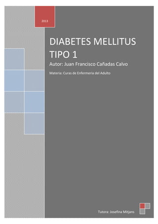 DIABETES MELLITUS
TIPO 1
Autor: Juan Francisco Cañadas Calvo
Materia: Curas de Enfermeria del Adulto
2013
Tutora: Josefina Mitjans
 