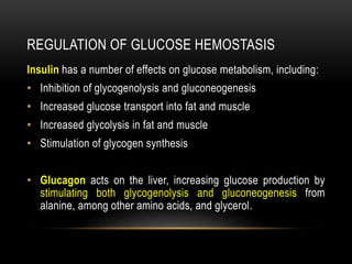 REGULATION OF GLUCOSE HEMOSTASIS
Insulin has a number of effects on glucose metabolism, including:
• Inhibition of glycogenolysis and gluconeogenesis
• Increased glucose transport into fat and muscle
• Increased glycolysis in fat and muscle
• Stimulation of glycogen synthesis
• Glucagon acts on the liver, increasing glucose production by
stimulating both glycogenolysis and gluconeogenesis from
alanine, among other amino acids, and glycerol.
 