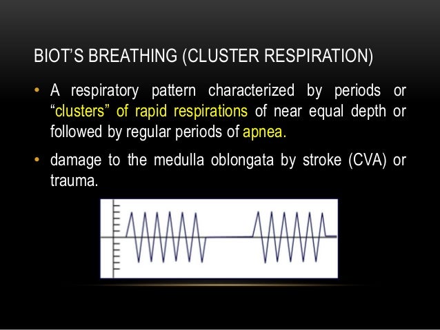 Biot Respirations Are Characterized By