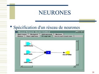 30
NEURONES
 Spécification d'un réseau de neurones
 
