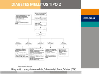 METAS TERAPÉUTICAS
DIABETES MELLITUS TIPO 2
IMSS-718-14
Diagnóstico y seguimiento de la Enfermedad Renal Crónica (ERC)
 