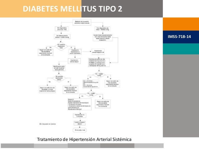 GPC Diebetes Mellitus tipo 2 GPC Diebetes Mellitus tipo 2