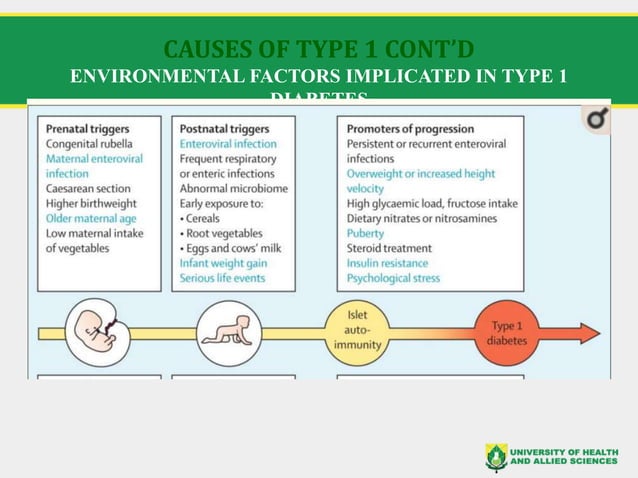 Diabetes mellitus ; signs, symptoms and management | PPT