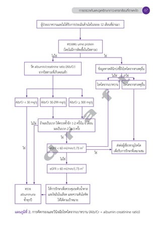 การตรวจค้นและดูแลรักษาภาวะแทรกซ้อนที่ตาและไต 67 
ผู้ป่วยเบาหวานและไม่ได้รับการประเมินด้านไตในระยะ 12 เดือนที่ผ่านมา 
ไม่ใช่ 
ใช่ 
ตรวจพบ urine protein 
(โดยไม่มีการติดเชื้อในปัสสาวะ) 
วัด albumin/creatinine ratio (Alb/Cr) 
ข้อมูลทางคลินิกบ่งชี้ถึงโรคไตจากสาเหตุอื่น 
จากปัสสาวะที่เก็บตอนเช้า 
t 
ไม่ใช่ 
f a r d Alb/Cr < 30 mg/g Alb/Cr 30-299 mg/g Alb/Cr > 300 mg/g 
ถ้าผลเป็นบวก ให้ตรวจซĞ้ำอีก 1-2 ครั้งใน 6 เดือน 
ผลเป็นบวก 2 ใน 3 ครั้ง 
ใช่ 
eGFR < 60 ml/min/1.73 m เพื่อรับการรักษาที่เหมาะสม 2 
ไม่ใช่ 
ไม่ใช่ 
ใช่ 
ใช่ 
ใช่ 
โรคไตจากเบาหวาน โรคไตจากสาเหตุอื่น 
ส่งต่อผู้เชี่ยวชาญโรคไต 
eGFR > 60 ml/min/1.73 m2 
ตรวจ 
albuminuria 
ซĞ้ำทุกปี 
ให้การรักษาเพื่อควบคุมระดับนĞ้ำตาล 
และไขมันในเลือด และความดันโลหิต 
ให้ได้ตามเป้าหมาย 
แผนภูมิที่ 2. การคัดกรองและวินิจฉัยโรคไตจากเบาหวาน (Alb/Cr = albumin creatinine ratio) 
 