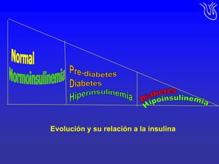 NormalNormoinsulinemiaPre-diabetes DiabetesHiperinsulinemia   DiabetesHipoinsulinemiaEvolución y su relación a la insulina