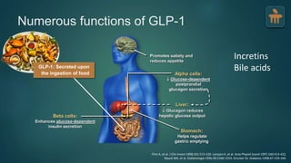 Numerous functions of GLP-1
Stomach:
Helps regulate
gastric emptying
Promotes satiety and
reduces appetite
Liver:
 Glucagon reduces
hepatic glucose outputBeta cells:
Enhances glucose-dependent
insulin secretion
Alpha cells:
 Glucose-dependent
postprandial
glucagon secretion
Flint A, et al. J Clin Invest 1998;101:515-520. Larsson H, et al. Acta Physiol Scand 1997;160:413-422.
Nauck MA, et al. Diabetologia 1996;39:1546-1553. Drucker DJ. Diabetes 1998;47:159-169.
GLP-1: Secreted upon
the ingestion of food
Incretins
Bile acids
 