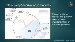 Role of sleep/ deprivation in diabetes
Bass J et al. Science. 2010 Dec 3; 330(6009): 1349–1354.
Changes in diurnal
patterns and quality of
sleep can have
important effects on
metabolic processes
 