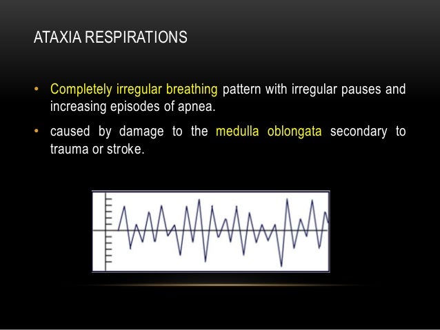 Biot Respirations Are Characterized By