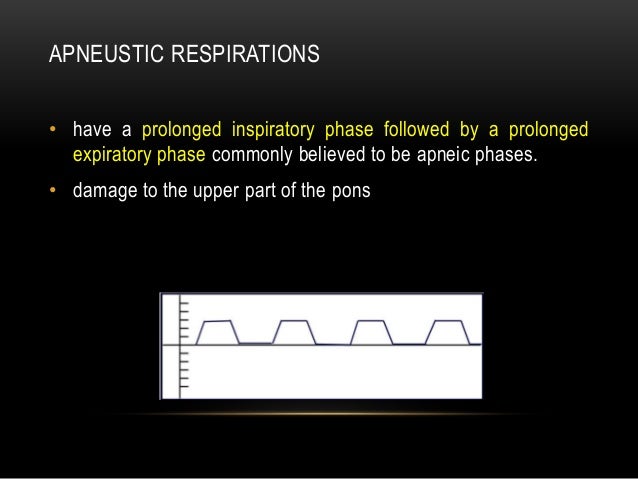 Diabetes Mellitus Part 2 DKA diabetes-mellitus-part-2-dka