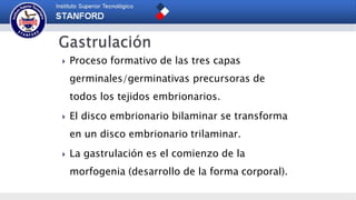  Proceso formativo de las tres capas
germinales/germinativas precursoras de
todos los tejidos embrionarios.
 El disco embrionario bilaminar se transforma
en un disco embrionario trilaminar.
 La gastrulación es el comienzo de la
morfogenia (desarrollo de la forma corporal).
 