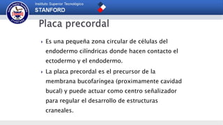  Es una pequeña zona circular de células del
endodermo cilíndricas donde hacen contacto el
ectodermo y el endodermo.
 La placa precordal es el precursor de la
membrana bucofaríngea (proximamente cavidad
bucal) y puede actuar como centro señalizador
para regular el desarrollo de estructuras
craneales.
 
