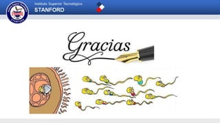 ANATOMÍA DEL DESARROLLO